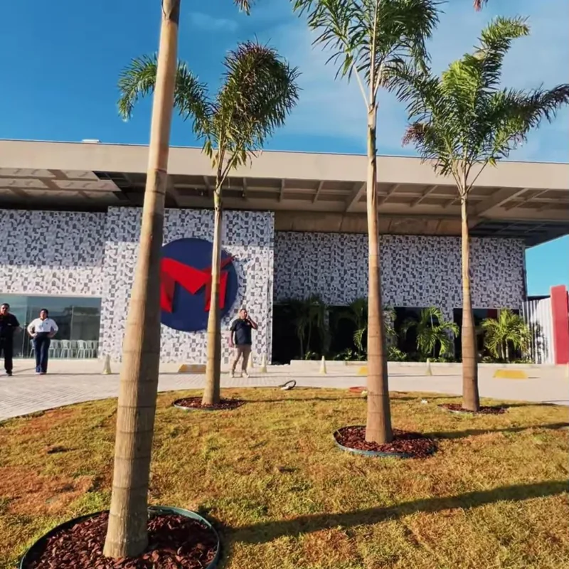 Fachada do campus novo, com as palmeiras e o M da marca na parede